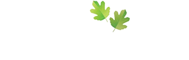 Grayshott Surgery logo and homepage link
