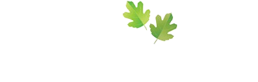 Grayshott Surgery logo and homepage link